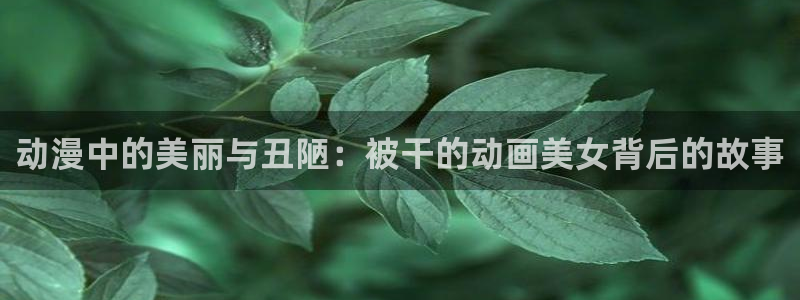 58动漫网站好看的动漫